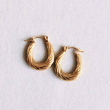 Twisted Gold Oval Hoop Earrings