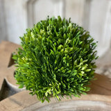 Seed Head Half Sphere | 5.5" Greenery Home Decor