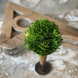 Seed Head Half Sphere | 5.5" Greenery Home Decor