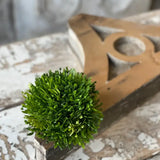 Seed Head Half Sphere | 5.5" Greenery Home Decor