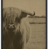 Hemp Panel Print - Highland Cow 'cropped'
