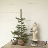 Foxtail Pine Tree With Burlap Base