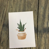 Plant in Basket Print