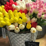 Tulip Stem | Tons of Colors Available!